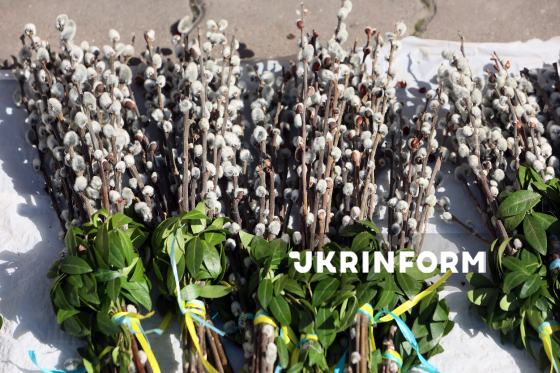 Освячення вербових гілок в Івано-Франківську