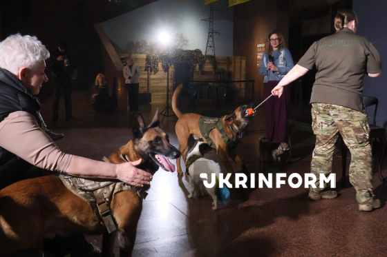 У столиці відбулася зустріч "Пухнасті професіонали: кінологія під час війни"